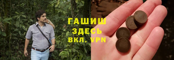 прущий лед Алзамай
