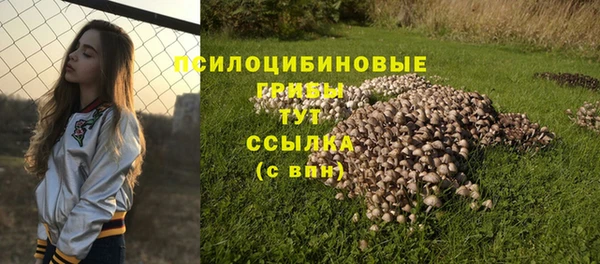 прущий лед Алзамай