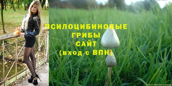 прущий лед Алзамай