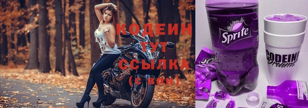 дживик Осинники