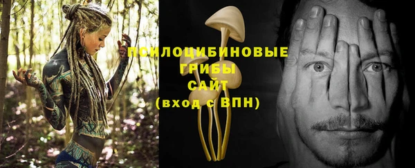 прущий лед Алзамай