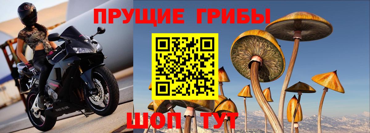 Галлюциногенные грибы Magic Shrooms  Вход с VPN  Псилоцибиновые грибы Magic Shrooms  Моздок 